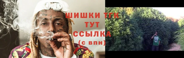 ПСИЛОЦИБИНОВЫЕ ГРИБЫ Сафоново