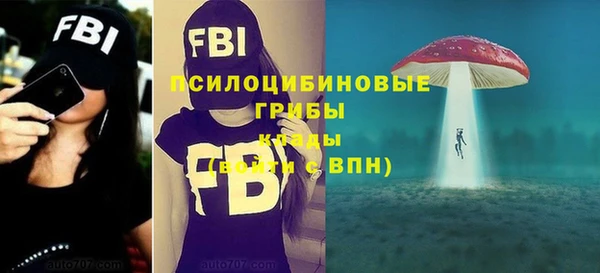 МДПВ Сатка