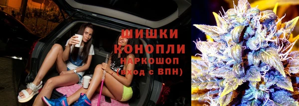 ПСИЛОЦИБИНОВЫЕ ГРИБЫ Сафоново