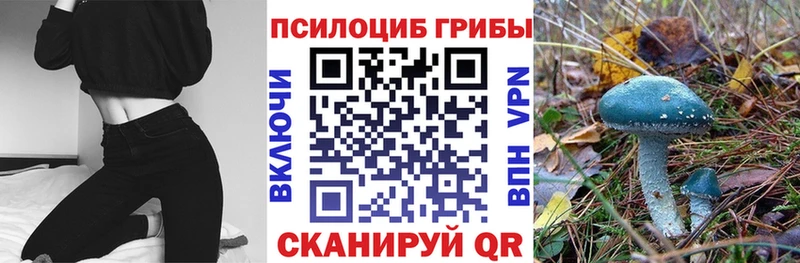 Купить закладки  Александровск  Галлюциногенные грибы Magic Shrooms 
